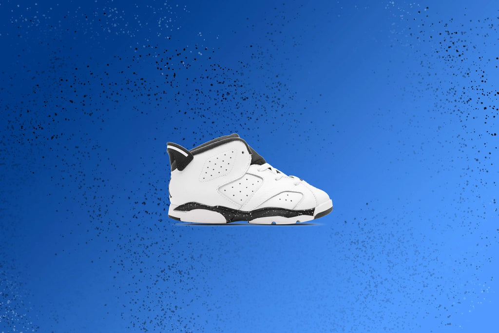 Air Jordan 6 Retro TD Reverse Oreo White Black