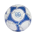 adidas Argentina AFA Argentum Gambeta Pro Sala Soccer Ball White Blue Black