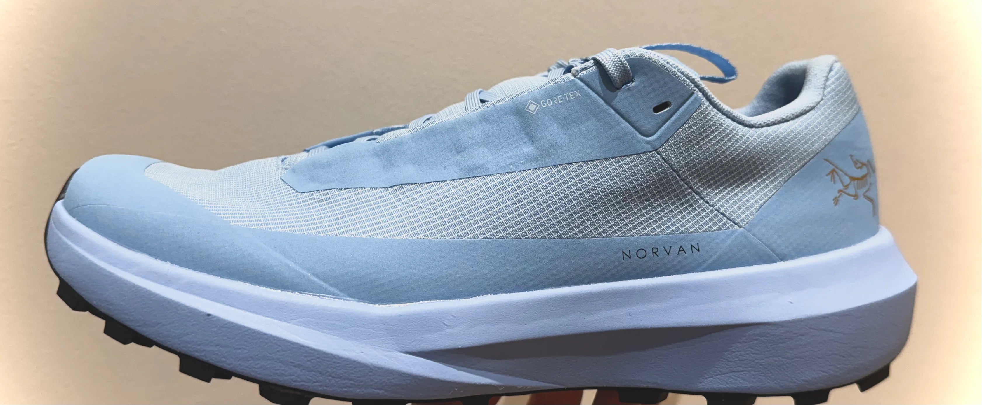 Womens Arcteryx Norvan LD 4 GTX