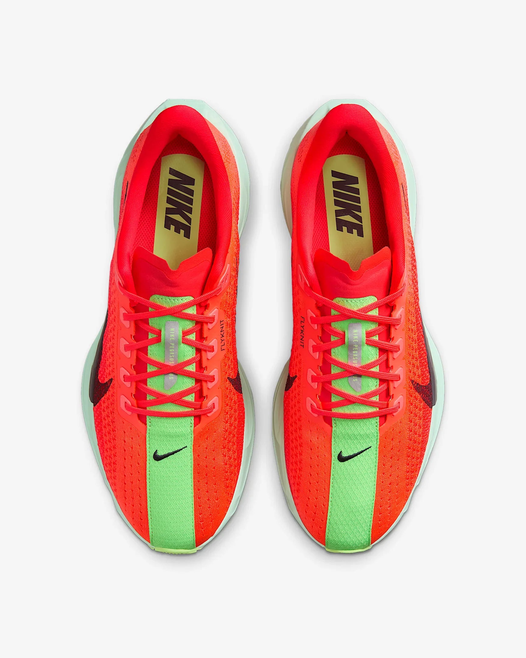 Mens Nike Pegasus Plus