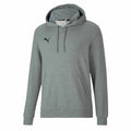 PUMA TeamGoal 23 Causals Hoody