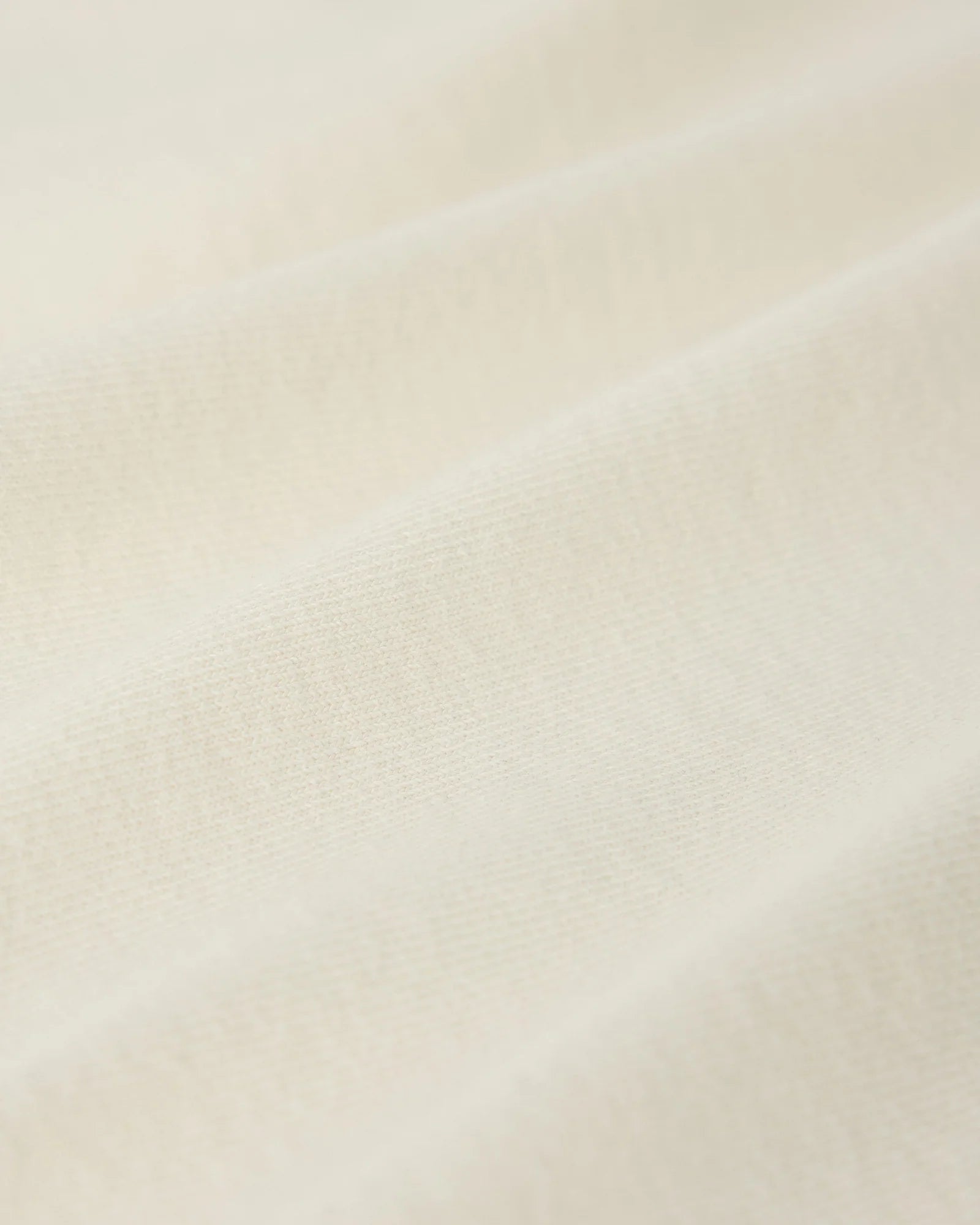 Owls Script Tee Cream