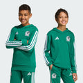 adidas Mexico DNA Youth Soccer Hoodie Green