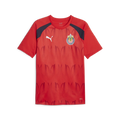 PUMA Chivas Prematch Short Sleeve Jersey