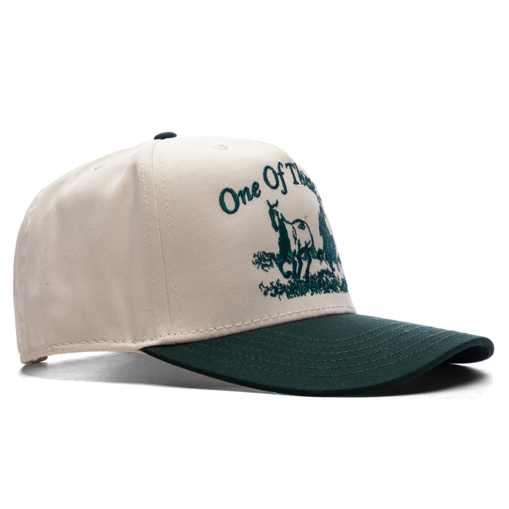 Just For A Moment 5 Panel Hat Natural Green