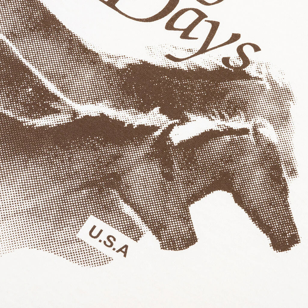Lost Highway T Shirt Bone