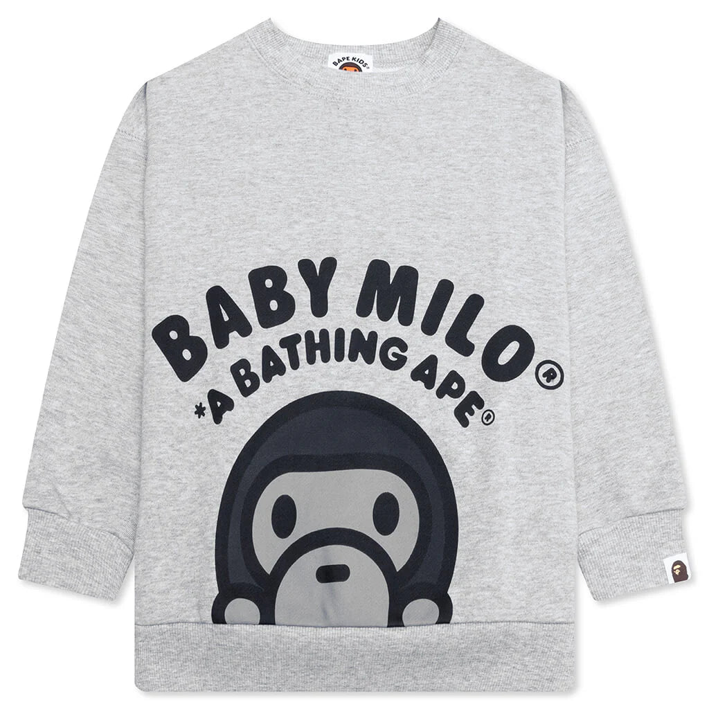 Kids Baby Milo Relaxed Fit Crewneck Sweatshirt Gray