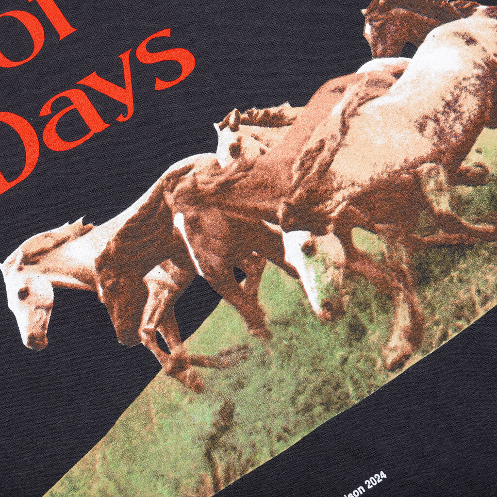 Wild Horses Short Sleeve T Shirt Washed Black