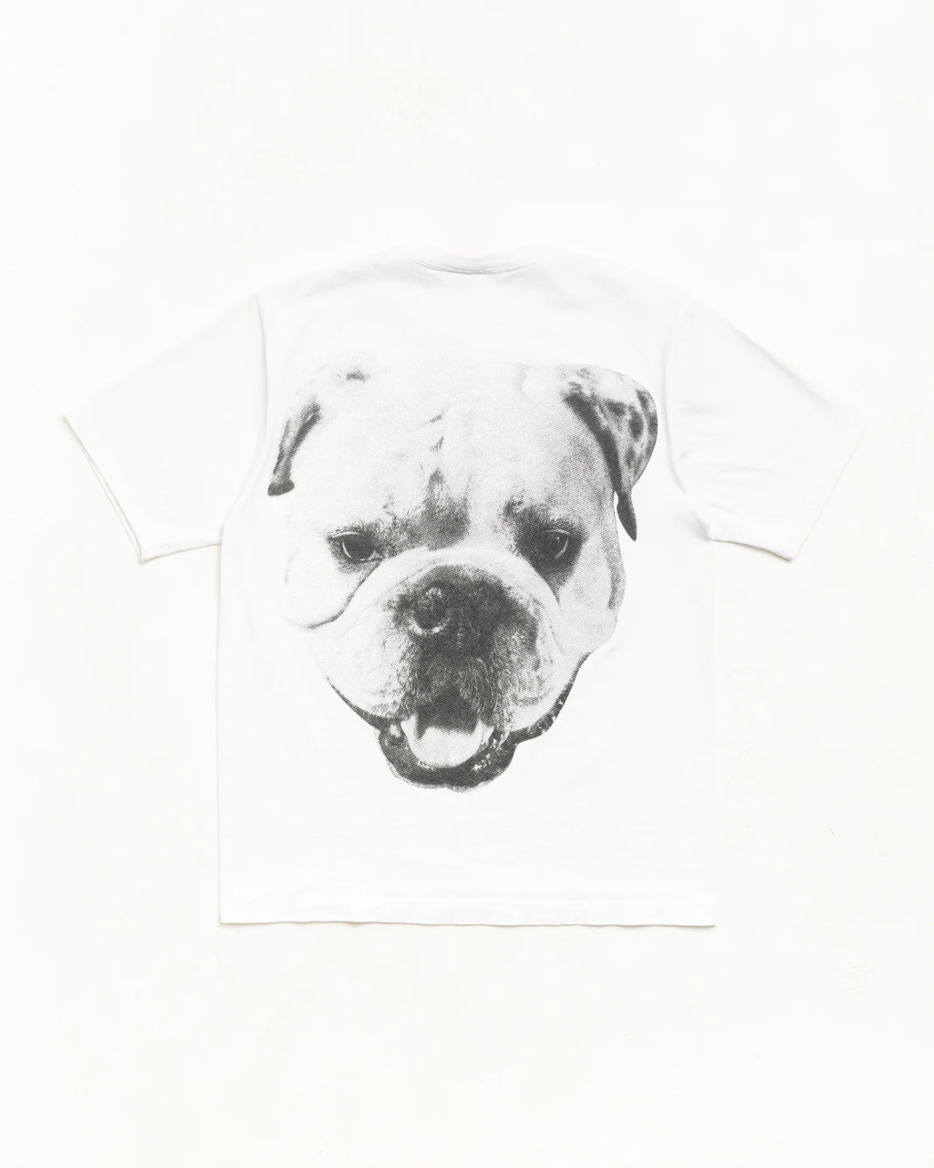 BIG DOG STONE WASHED TEE