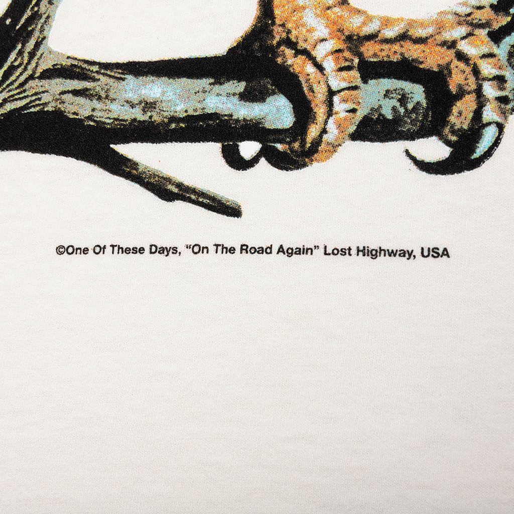 Bird Of Prey Tee Bone