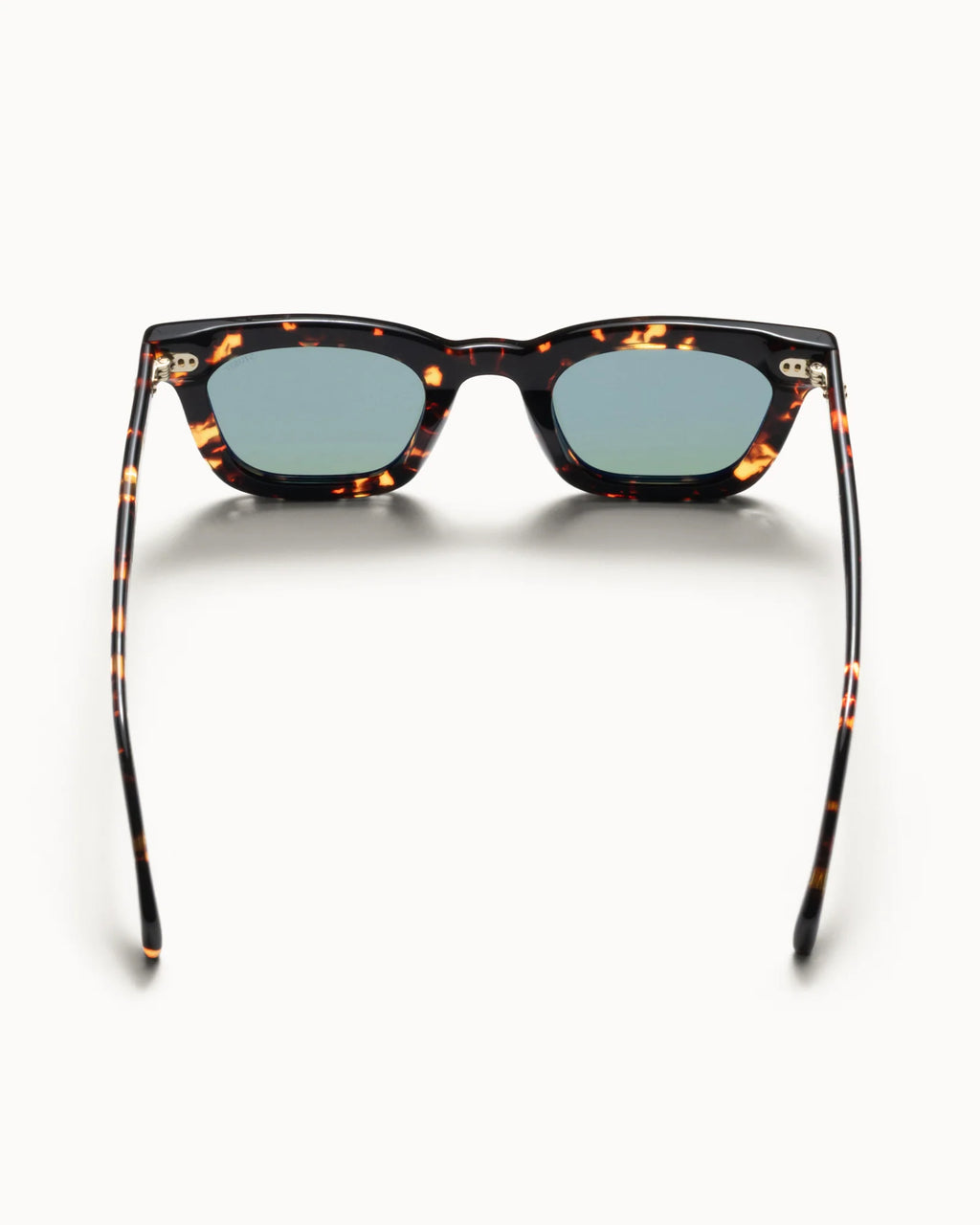 ACE SUNGLASSES