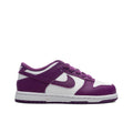 Dunk Low PS White Viotech White