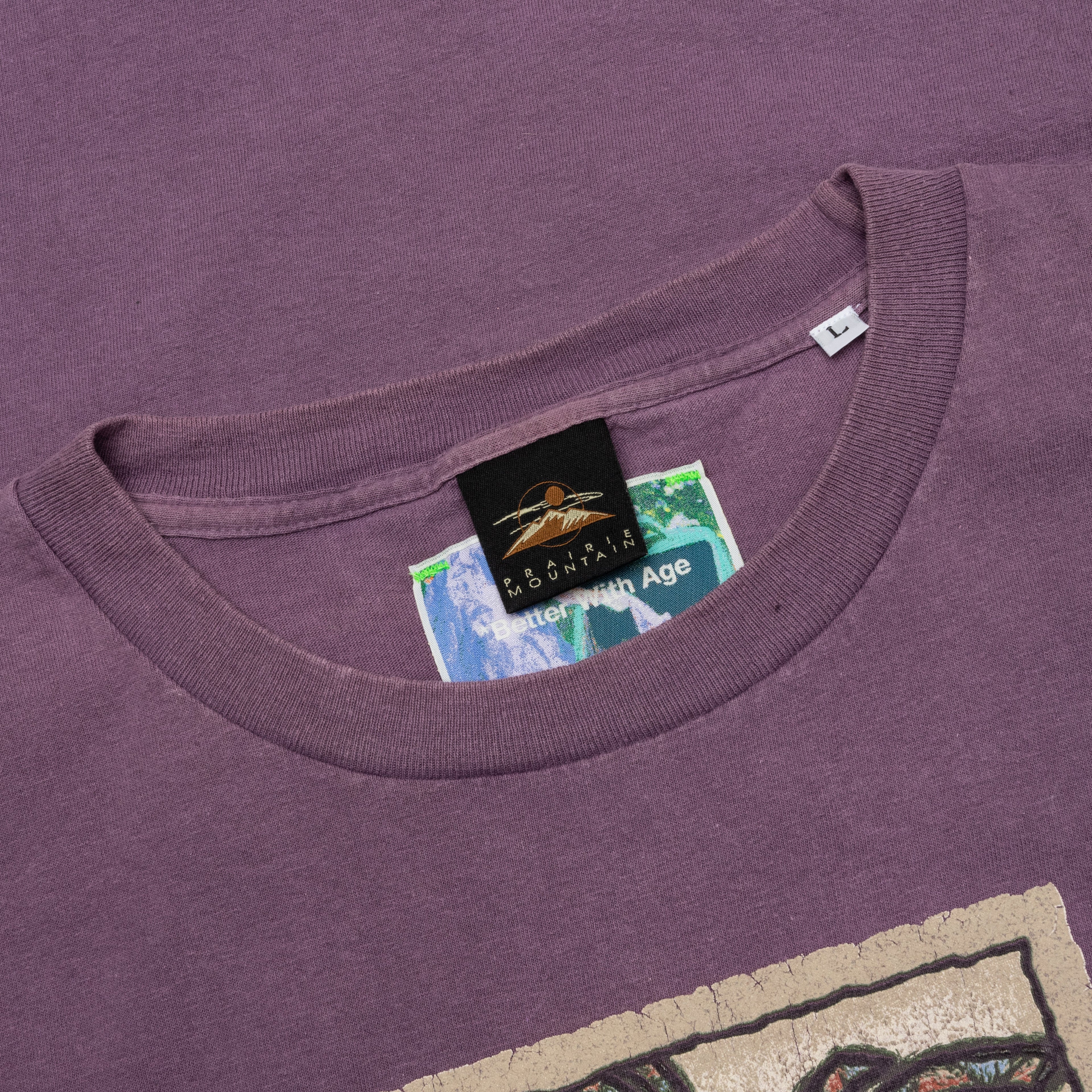 Fuck BWA Tee Multi