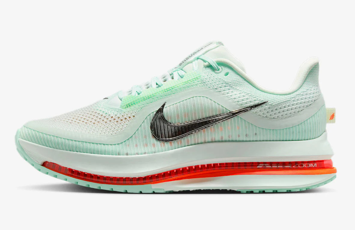 Mens Nike Pegasus Premium