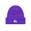 Basic Cuff Beanie Concord