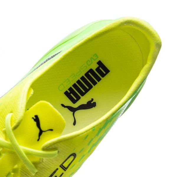 PUMA Evospeed 17 SL FG Firm Ground Soccer Cleats Safety Yellow Black Green Gecko