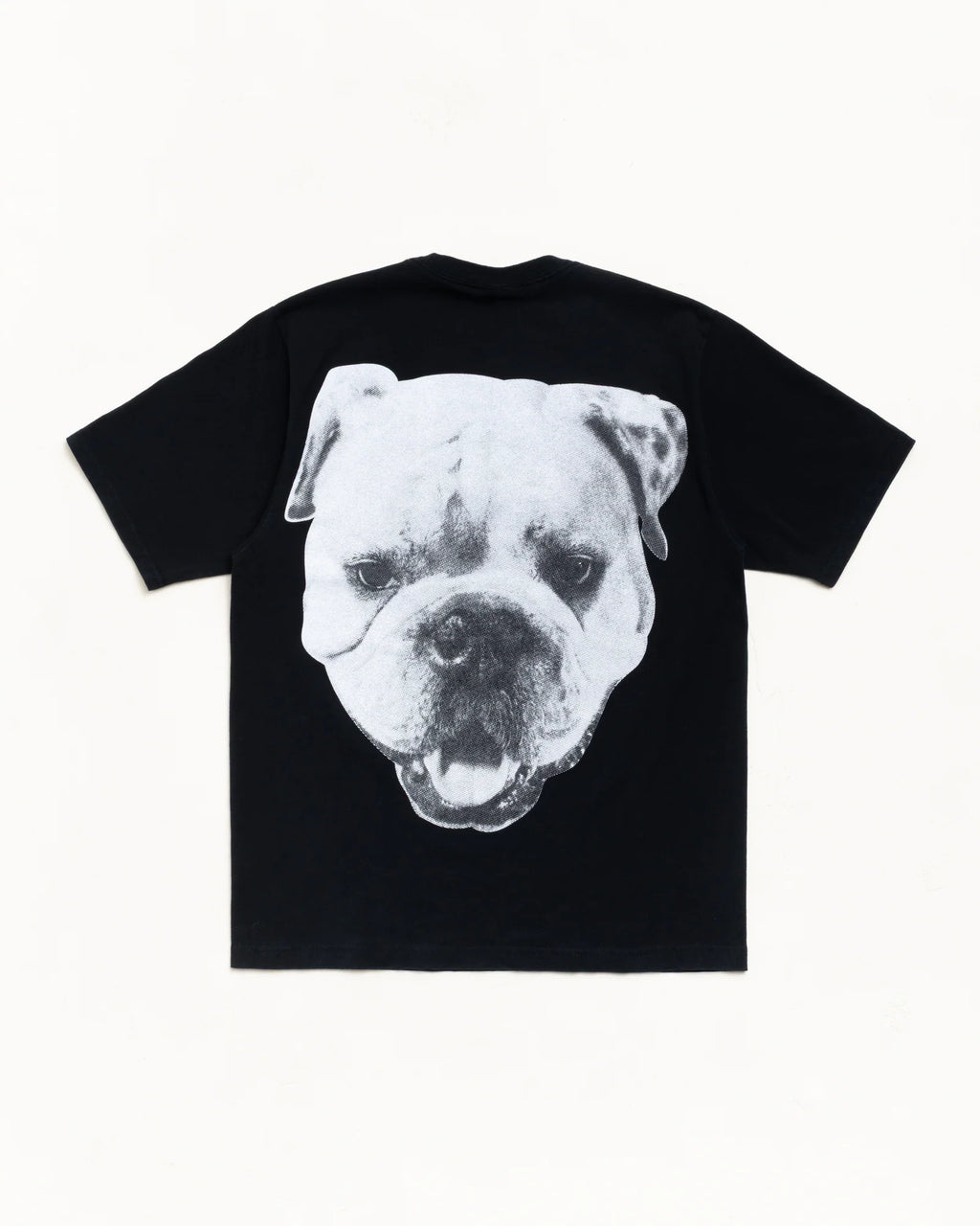 BIG DOG STONE WASHED TEE