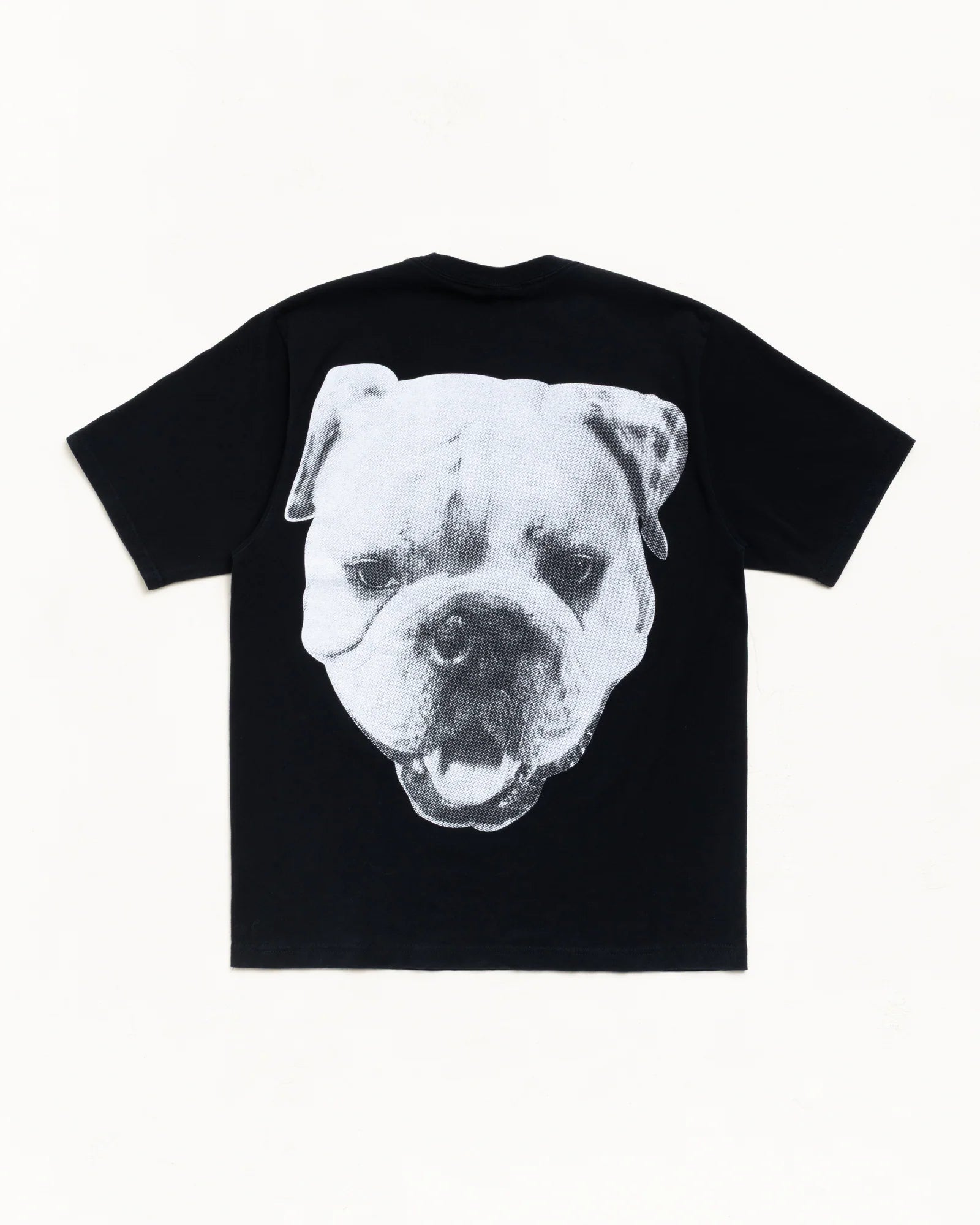 BIG DOG STONE WASHED TEE