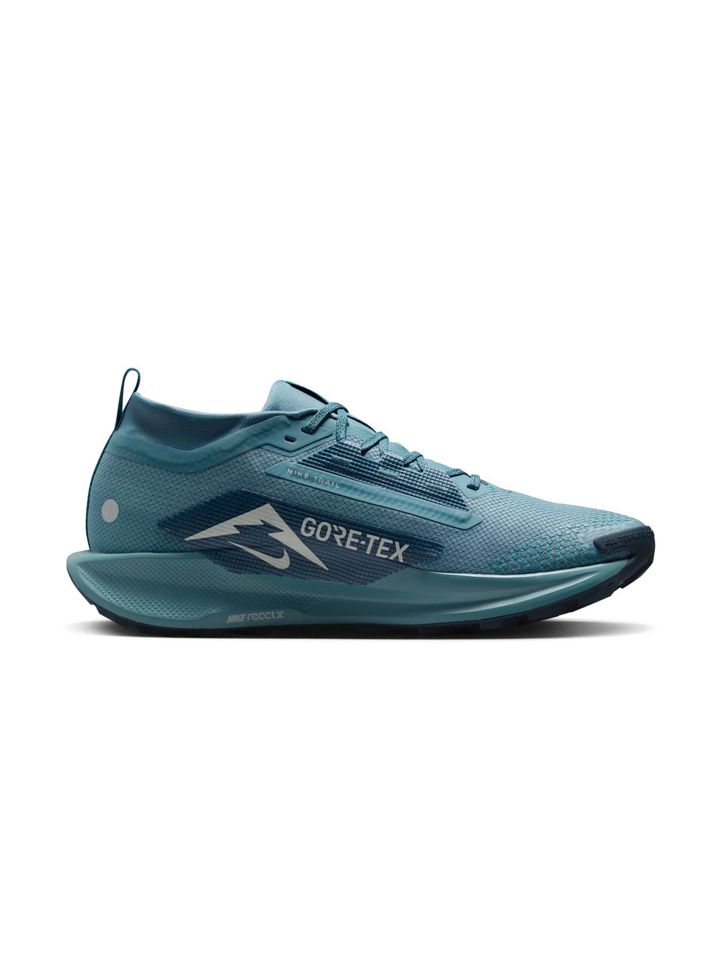 Nike Pegasus Trail 5 GORE TEX Mens Shoes