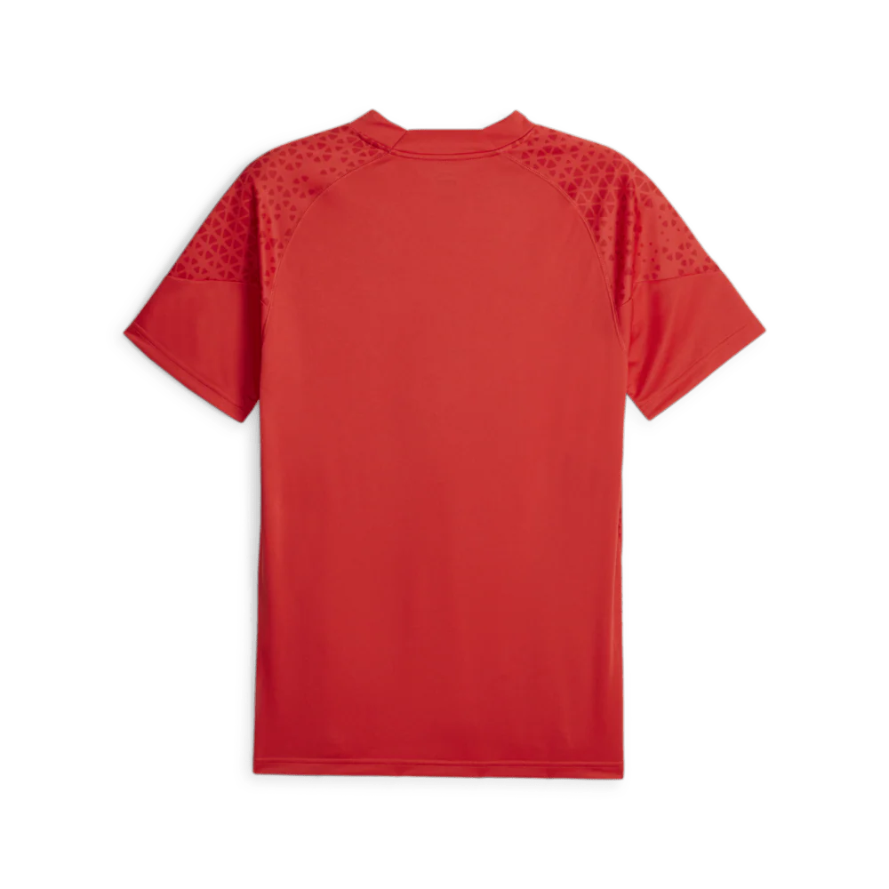PUMA AC Milan Training Jersey